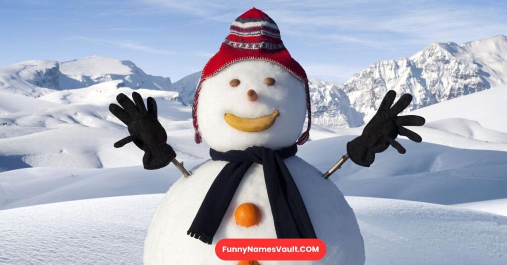 Benefits of Funny Snowman Names
