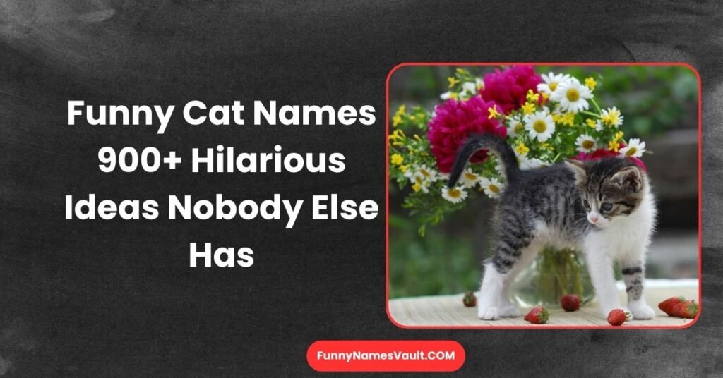 Funny Cat Names