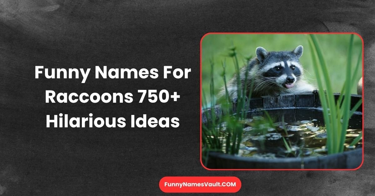 Funny Names For Raccoons
