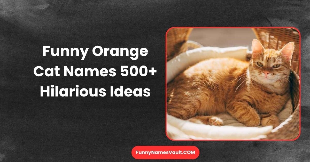 Funny Orange Cat Names