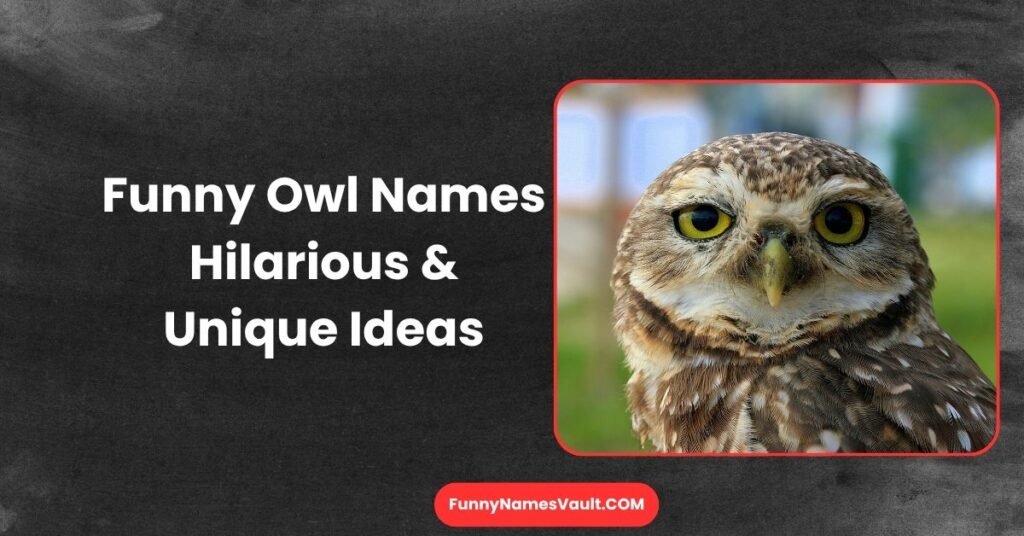 Funny Owl Names